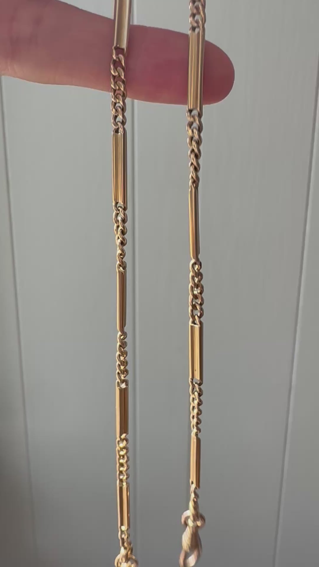 cable and bar link with two dog clips