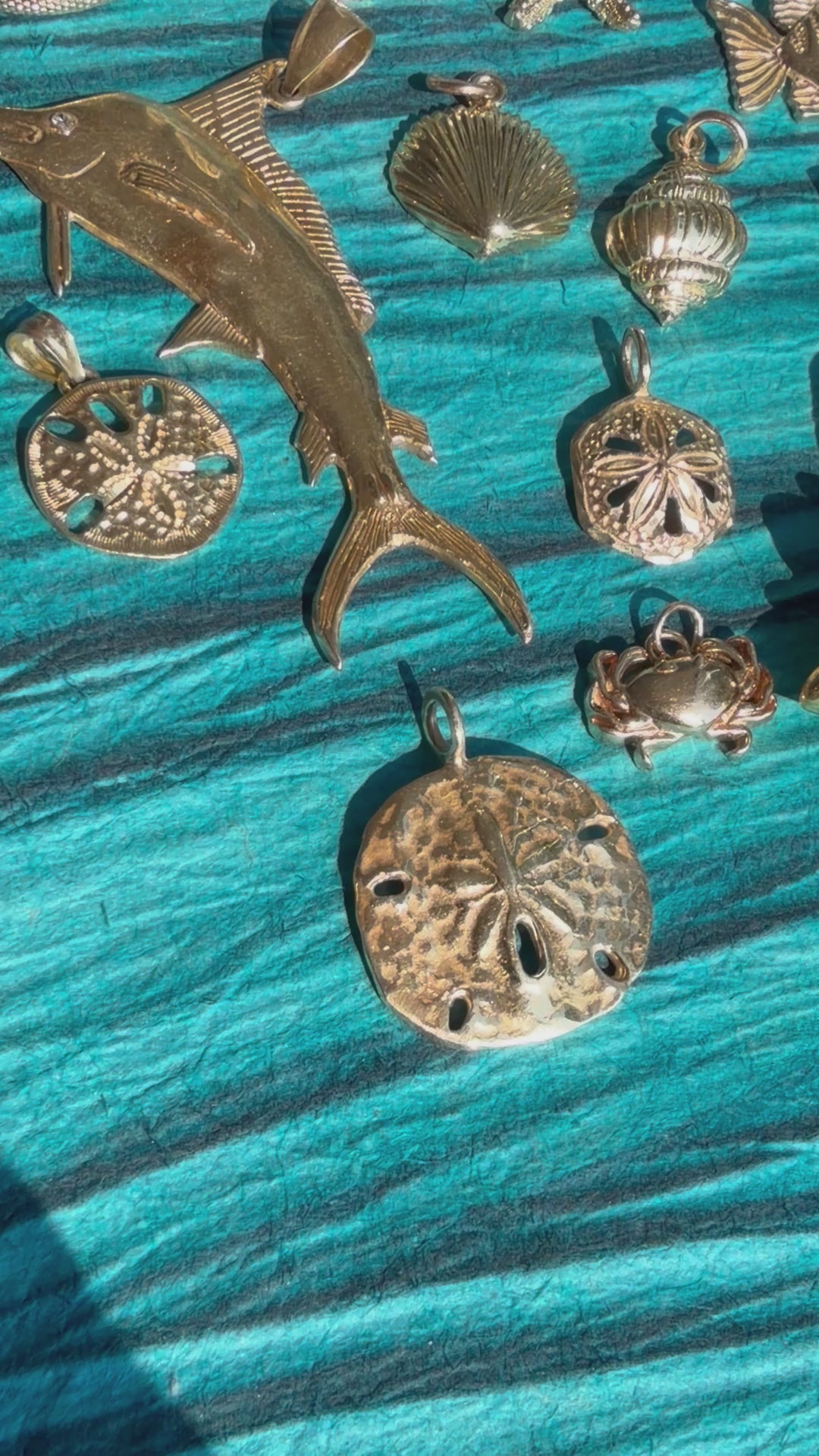 treasures of the tide