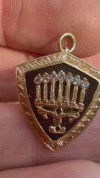 signs & wonders charm collection