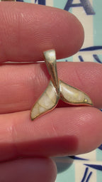 animals, critters, sealife