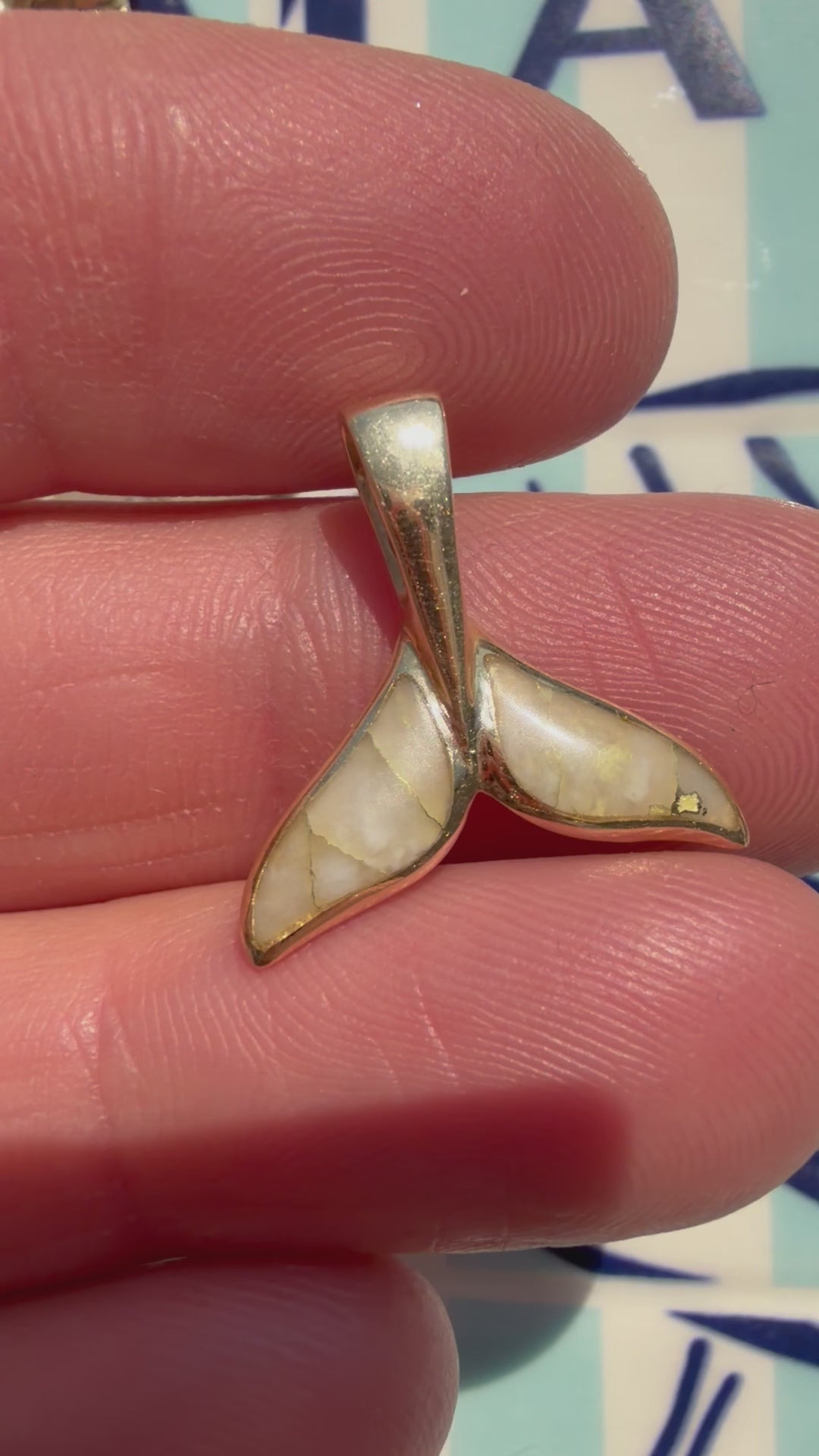 animals, critters, sealife