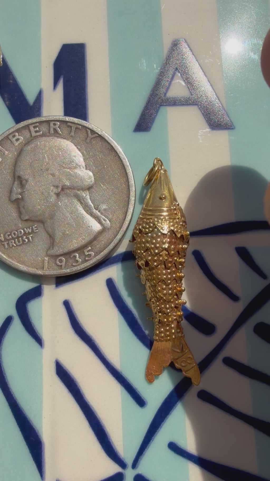 animals, critters, sealife