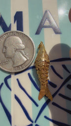 animals, critters, sealife