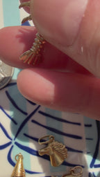 animals, critters, sealife